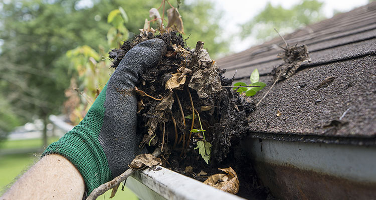 9 Essential Tips to Maximize Your Roof’s Longevity